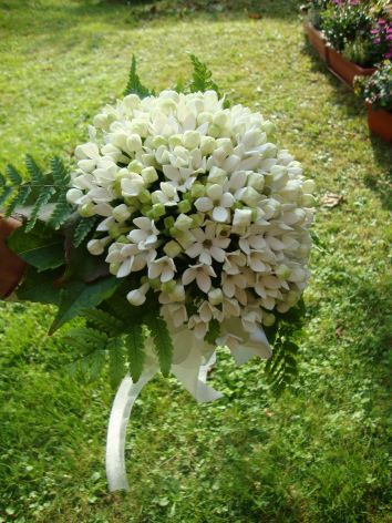 Bouquet da sposa con bouvardia